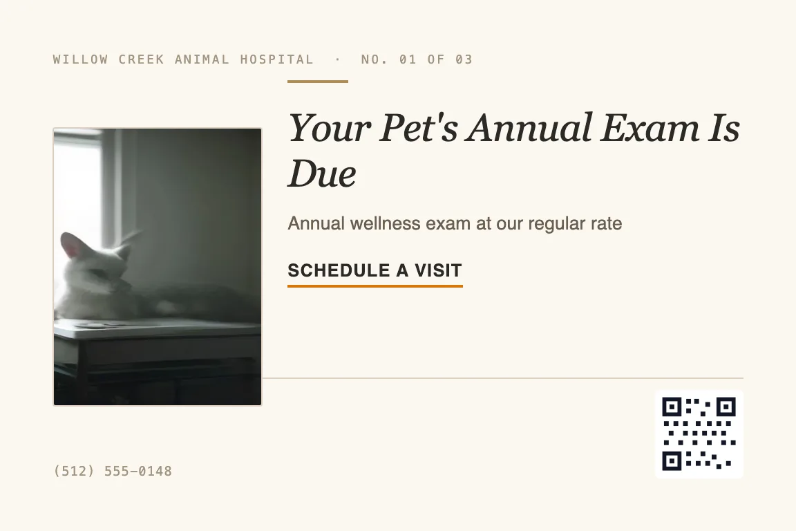 veterinary postcard design variation