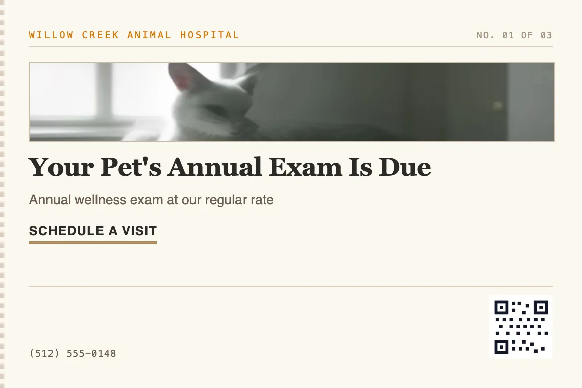 Veterinary postcard sample